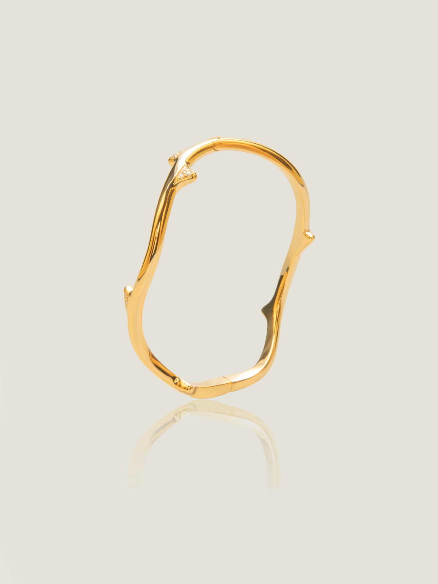 Branchline Sculpted Bangle